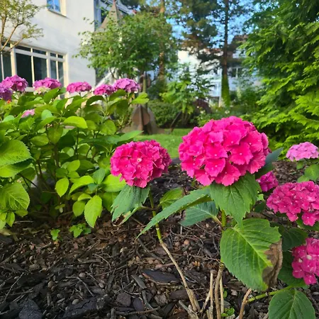 Apartament Feriendomizil Binz